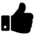 Best Service Icon